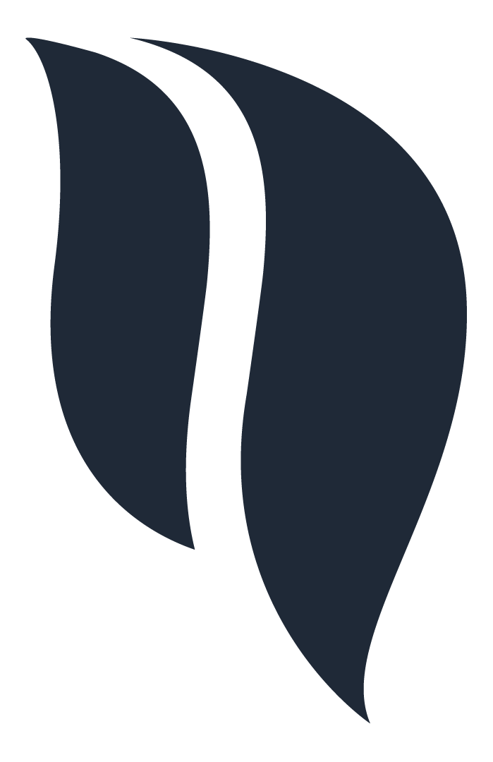 ExtraNat Logo